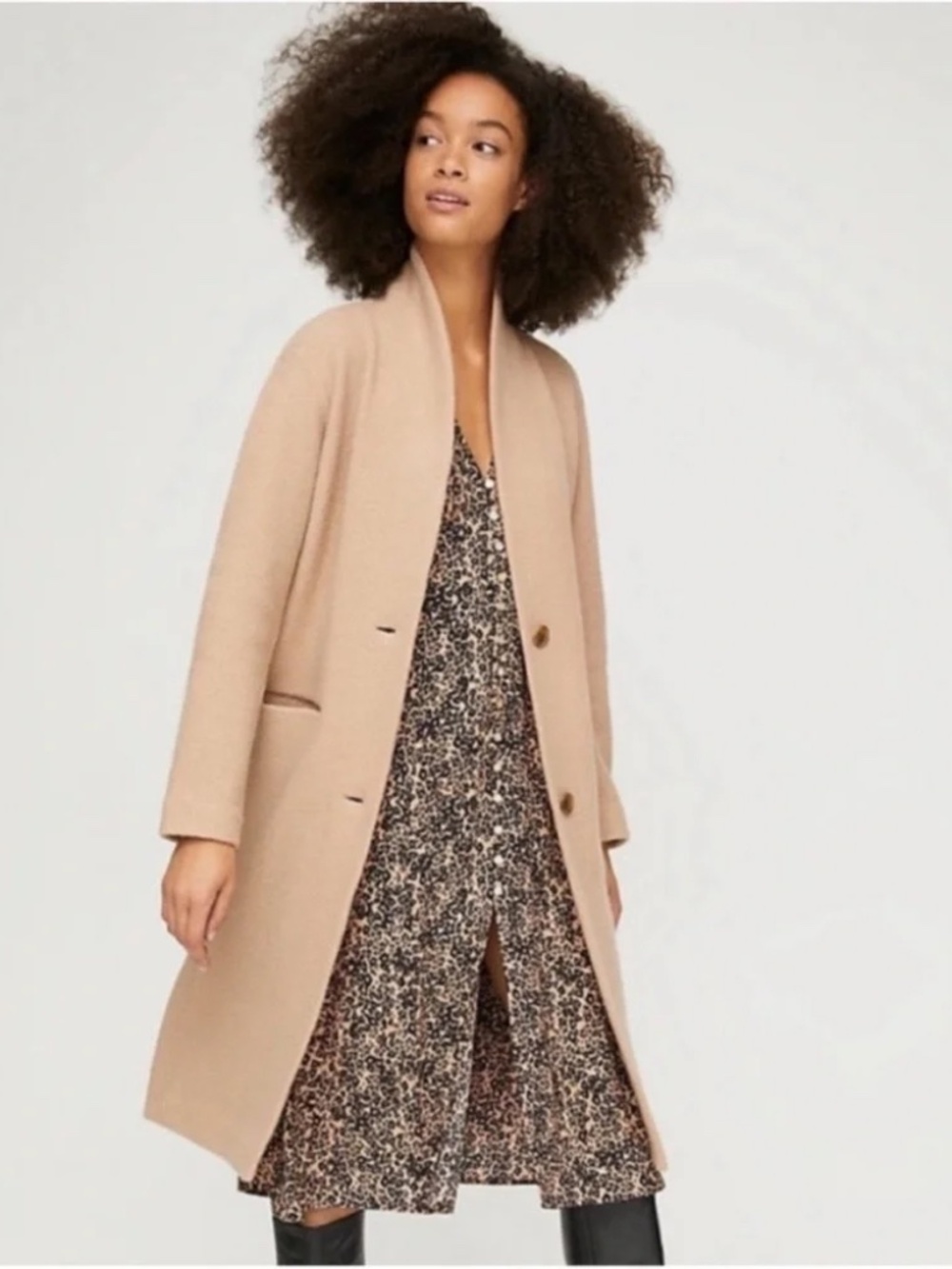 Aritzia Wilfred Dujardin Wool Coat - Camel